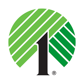 dollartree.com logo